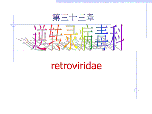 逆转录病毒科.ppt