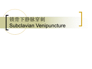 锁骨下静脉穿刺.ppt