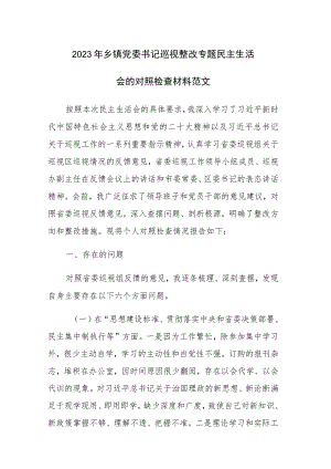 2023年乡镇党委书记巡视整改专题民主生活会的对照检查材料范文.docx