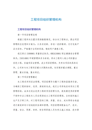 工程项目组织管理机构.docx