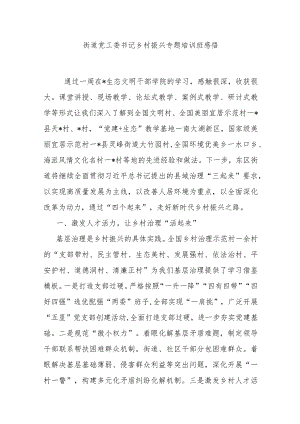 街道党工委书记乡村振兴专题培训班感悟.docx