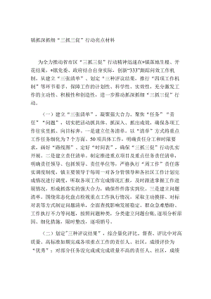 2023年镇抓深抓细“三抓三促”行动亮点汇报材料.docx