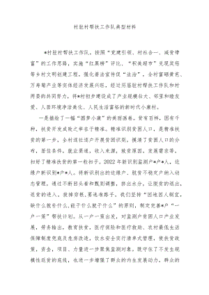 村驻村帮扶工作队典型材料.docx