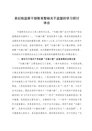 某纪检监察干部教育整顿关于监督的学习研讨体会.docx