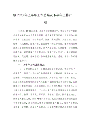 镇2023年上半年工作总结及下半年工作计划（20230913）.docx