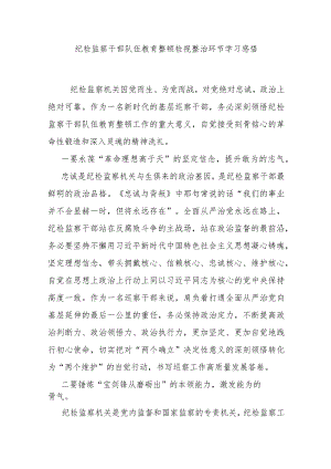 纪检监察干部队伍教育整顿检视整治环节学习感悟.docx