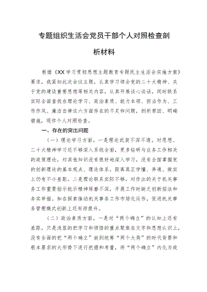 专题组织生活会党员干部个人对照检查剖析材料.docx