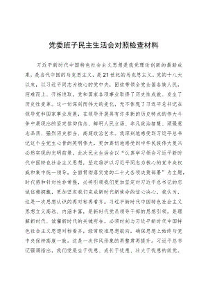 党委班子民主生活会对照检查材料.docx