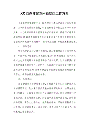 XX县森林督查问题整改工作方案.docx