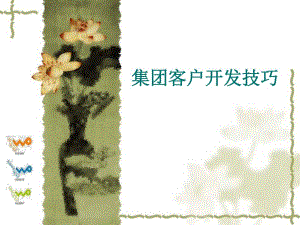 集团客户开发技巧.ppt