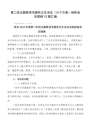 第二批主题教育专题民主生活会（六个方面）剖析发言提纲12篇汇编.docx