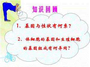 隐性基因与显性基因.ppt