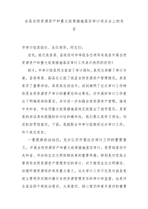 在县自然资源资产和重大政策措施落实审计进点会上的发言 .docx