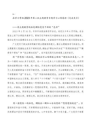 （二十篇汇编）在深入学习贯彻2023年主题教育心得体会、研讨材料.docx