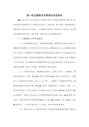 第一批主题教育开展情况自查报告.docx
