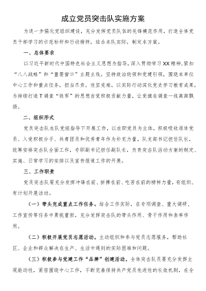成立党员突击队实施方案.docx