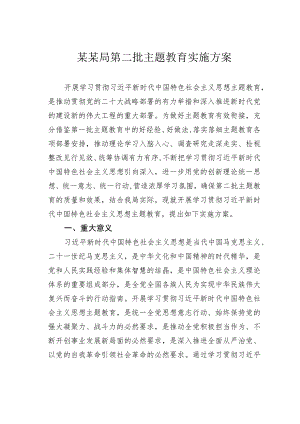 某某局第二批主题教育实施方案.docx