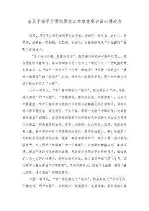 （2篇）2023年基层干部学习贯彻黑龙江考察重要讲话心得体会发言.docx