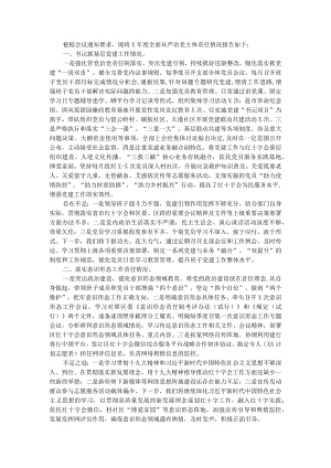 区红十字会党支部书记X年度履行全面从严治党主体责任述职报告.docx