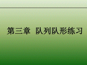 队列队形练习.ppt