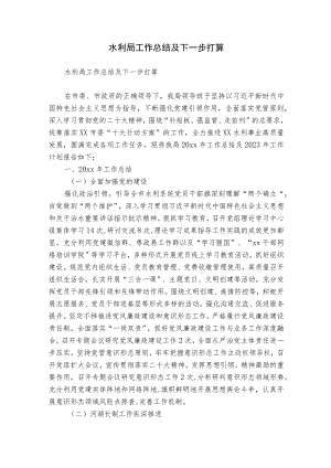 水利局工作总结及下一步打算.docx