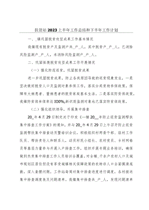 扶贫站2023上半年工作总结和下半年工作计划.docx