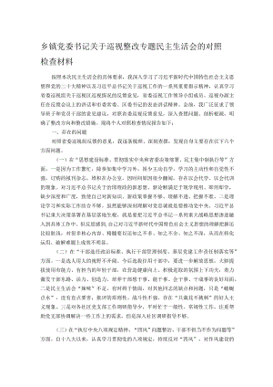 乡镇党委书记关于巡视整改专题民主生活会的对照检查材料.docx