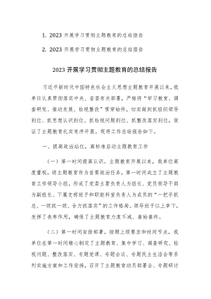 2023开展学习贯彻主题教育的总结报告范文2篇.docx