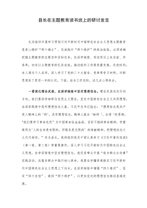 县长在主题教育读书班上的研讨发言.docx