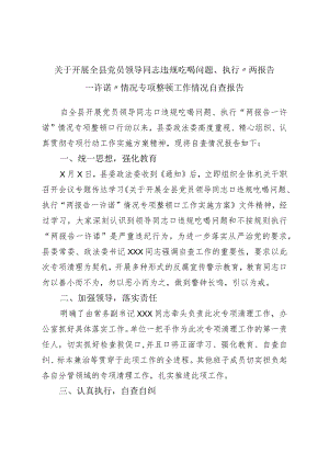 关于开展全县党员领导干部违规吃喝问题、执行“两报告一承诺”情况专项整治工作情况自查报告.docx