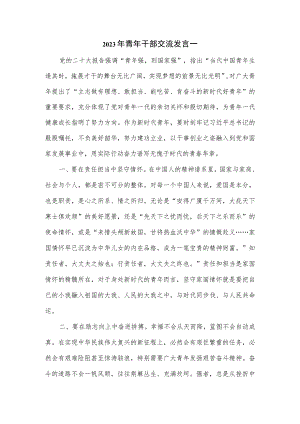 2023年青年干部交流发言2篇.docx