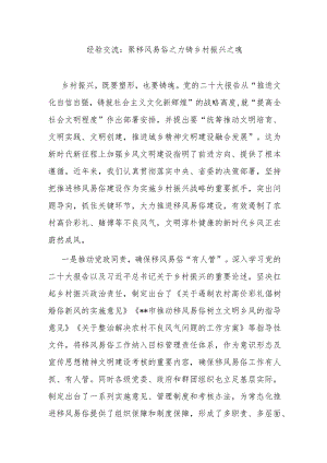 经验交流：聚移风易俗之力 铸乡村振兴之魂.docx