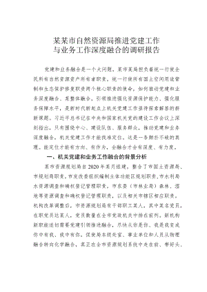 某某市自然资源局推进党建工作与业务工作深度融合的调研报告.docx