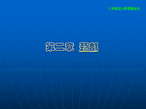 颈部断面与影像解剖.ppt