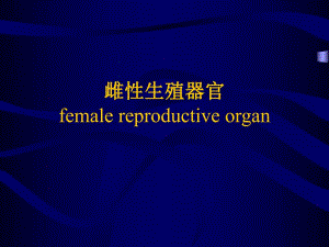 雌性生殖器官.ppt