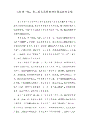 （2篇）抓好第一批、第二批主题教育的衔接联动发言稿+第二批主题教育筹备工作座谈会研讨发言材料.docx