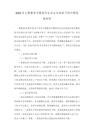 （2篇）2023年主题教育专题组织生活会支部班子的对照检视材料.docx