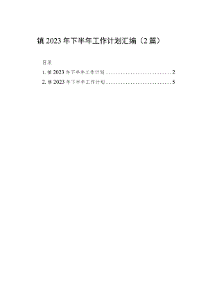 镇2023年下半年工作计划汇编（2篇）.docx