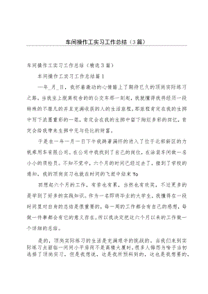 车间操作工实习工作总结（3篇）.docx