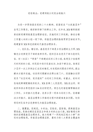 经验做法：党建领航以巡促治谋振兴.docx