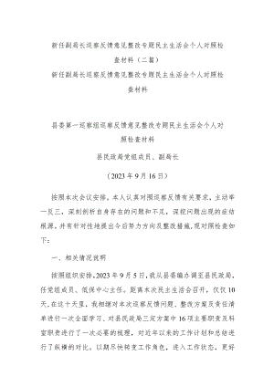 新任副局长巡察反馈意见整改专题民主生活会个人对照检查材料(二篇).docx