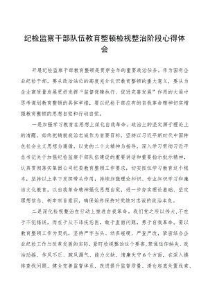 纪检干部队伍教育整顿检视整治阶段心得体会八篇.docx