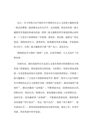 党支部第二批主题教育发言稿讲话稿(精选资料).docx