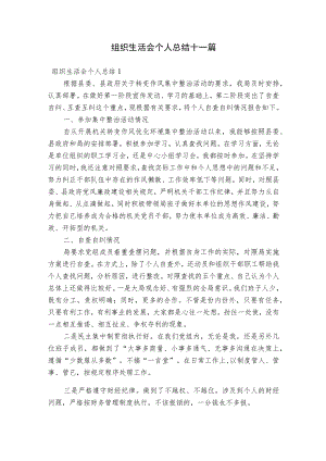 组织生活会个人总结十一篇.docx