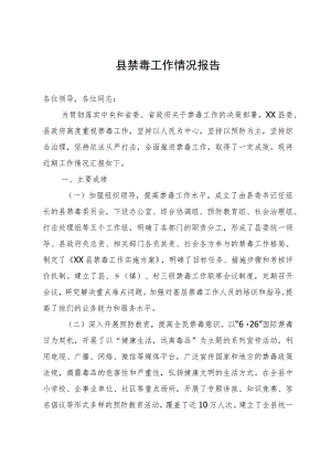 县禁毒工作情况报告.docx