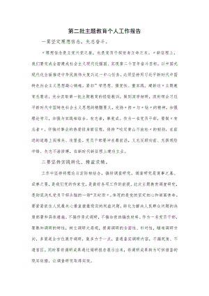 第二批主题教育个人工作报告.docx