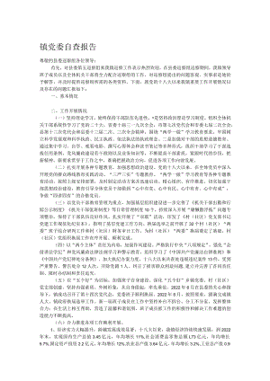 镇党委自查报告.docx