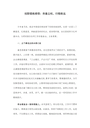 挂职锻炼感悟：夯基立柱行稳致远.docx