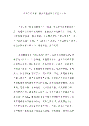 领导干部在第二批主题教育讲话班发言材料.docx