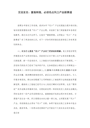 交流发言：重振辉煌必须抢占风口产业新赛道.docx